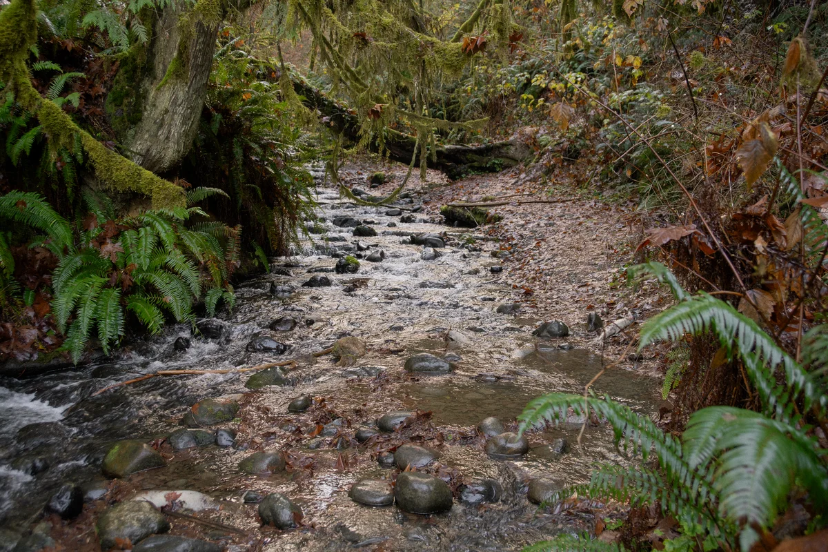 DSC02518.jpg
