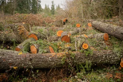 DSC02505.jpg