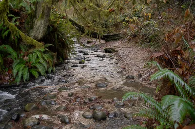 DSC02518.jpg