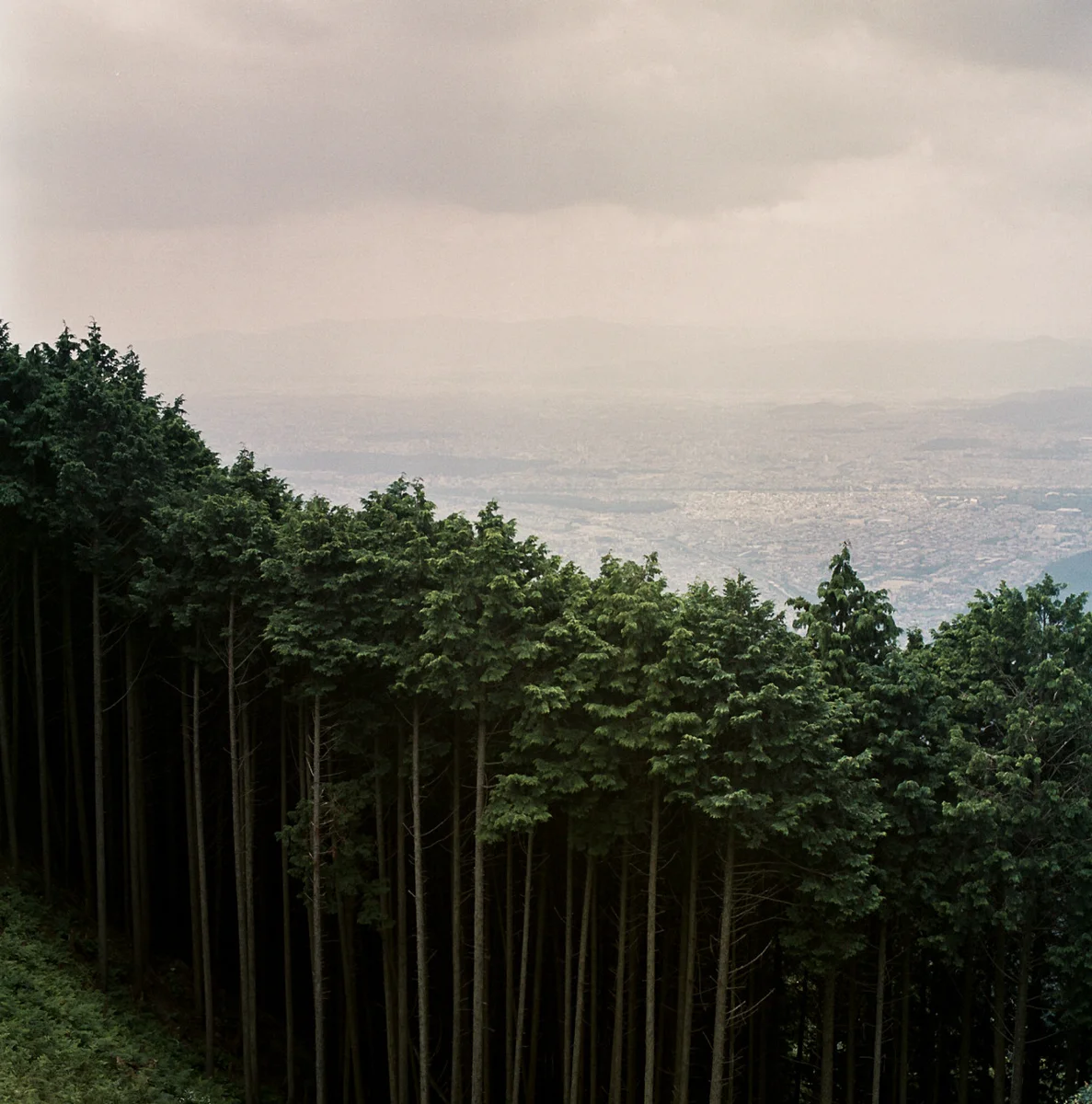148665146201_0.jpg