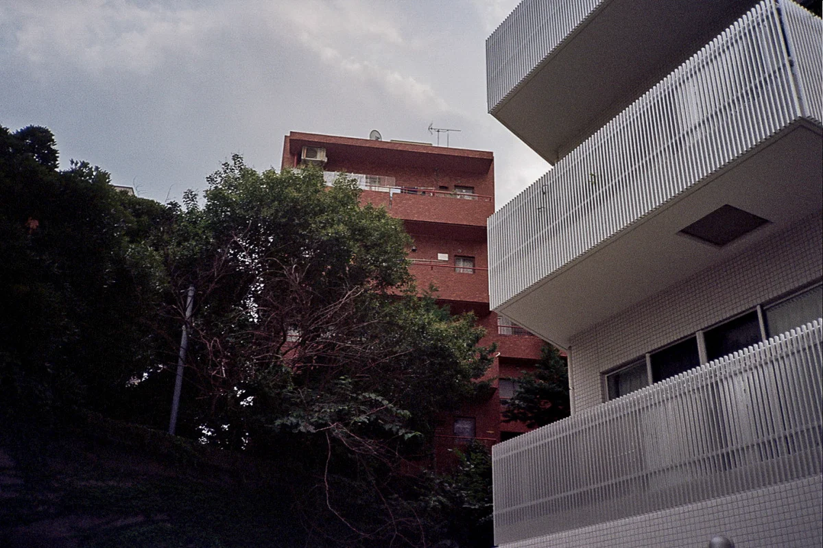 148990967457_2.jpg