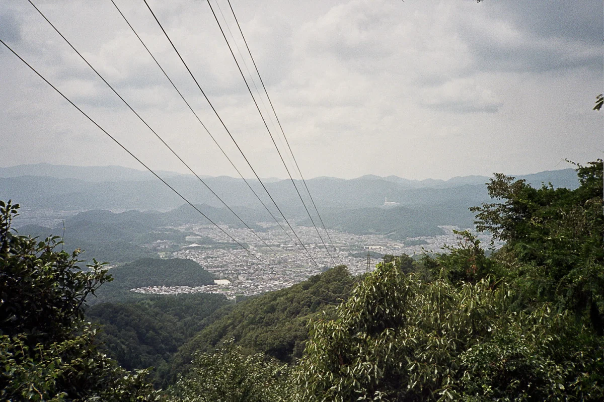 149128642545_3.jpg