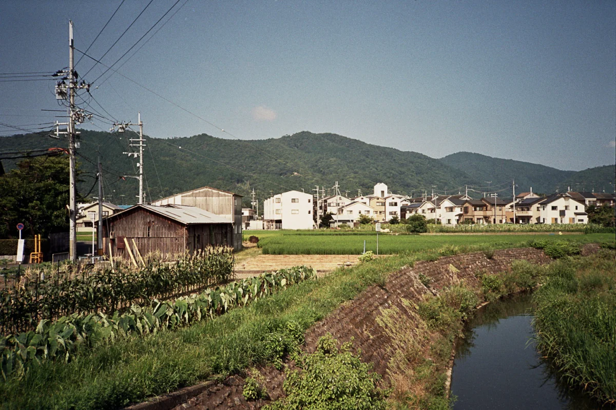 149175980446_0.jpg