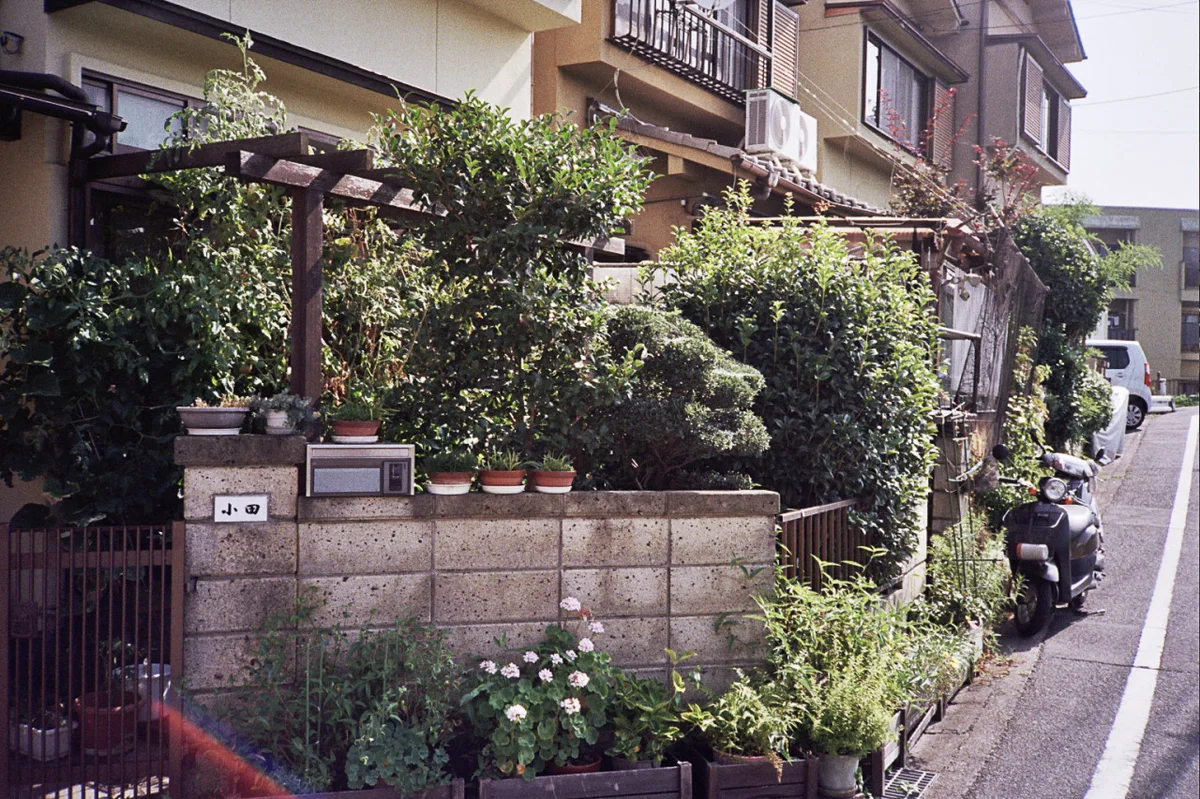 149191677923_0.jpg