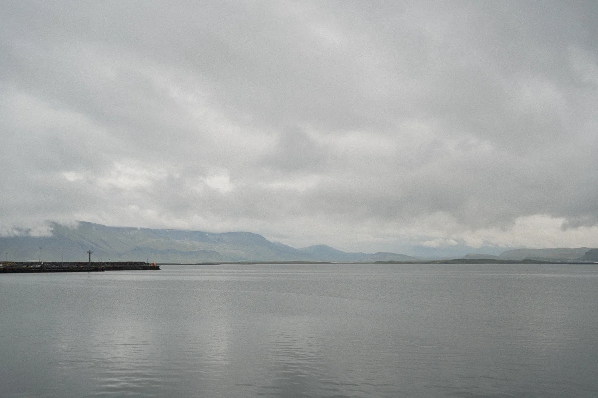 DSC00572.jpg