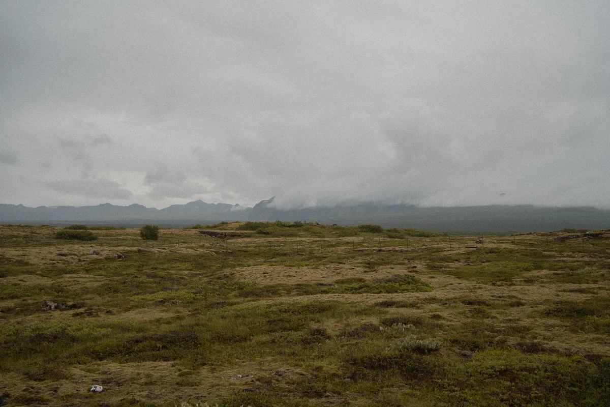 DSC00584.jpg