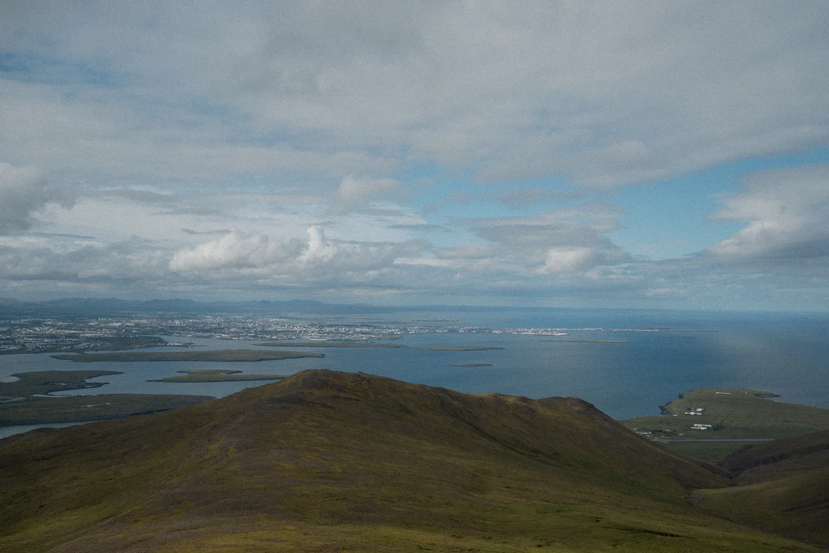 DSC00709.jpg