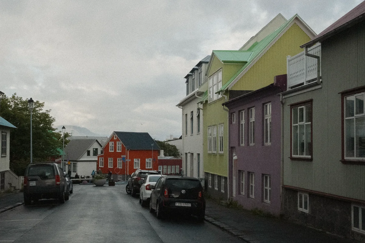 DSC00774.jpg