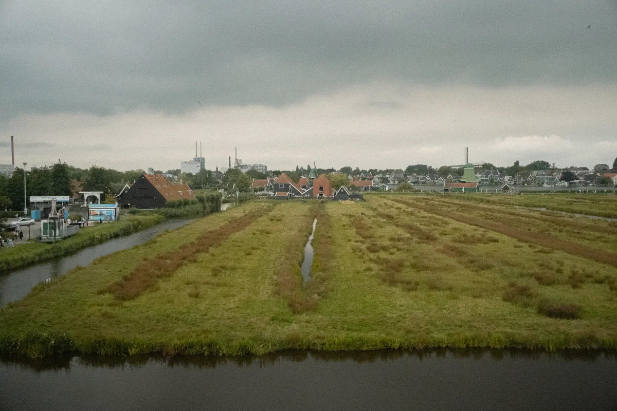 DSC00800.jpg