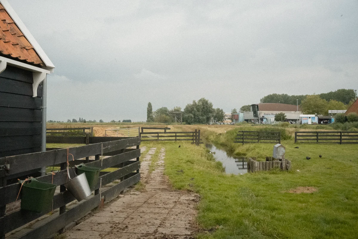 DSC00811.jpg