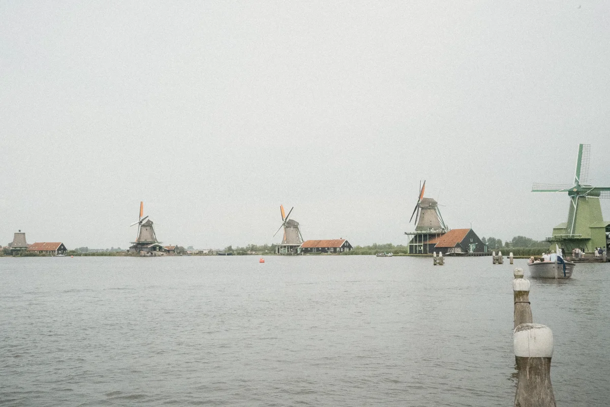 DSC00815.jpg