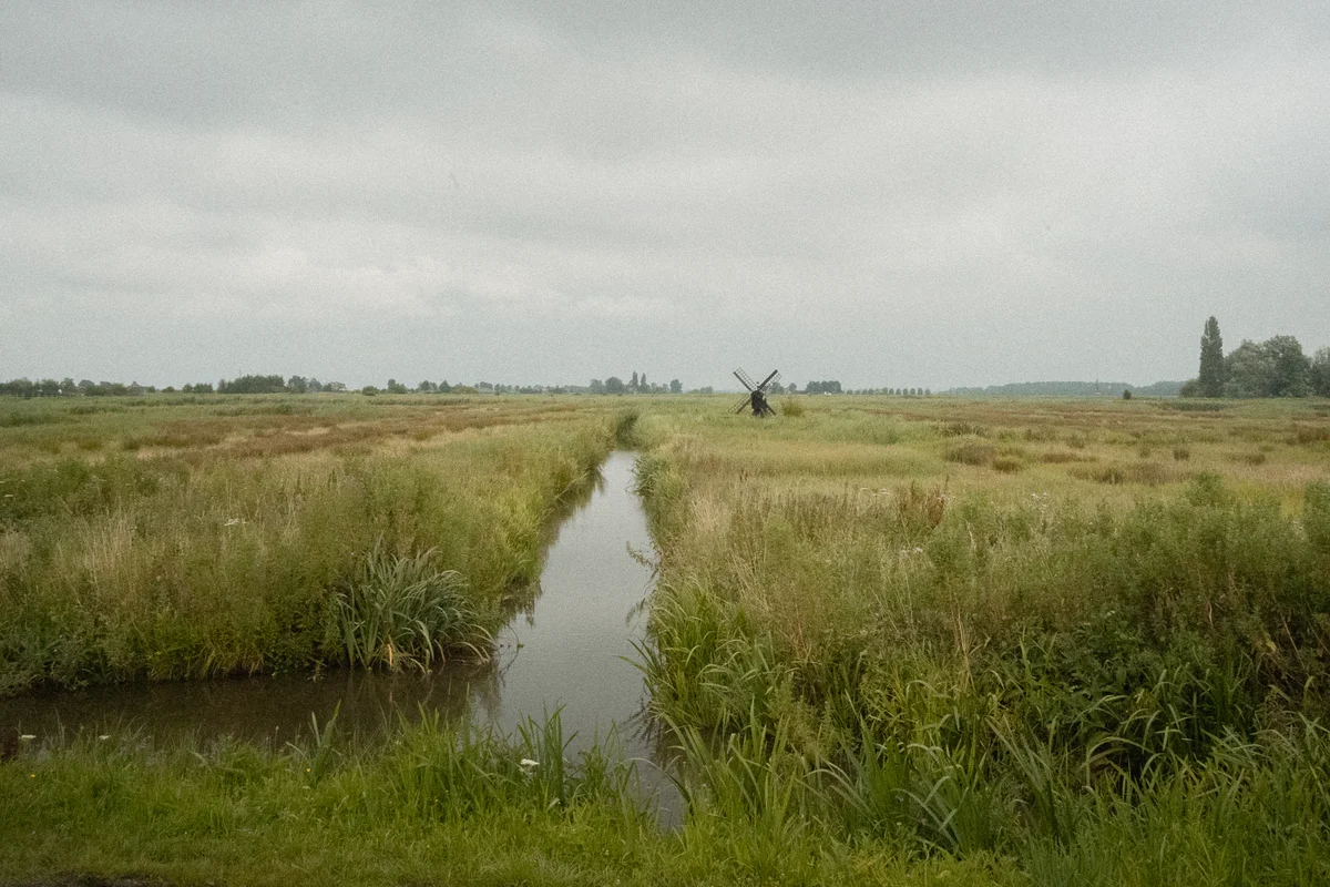DSC00822.jpg