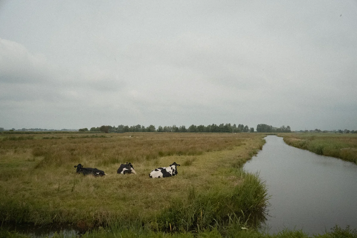 DSC00824.jpg