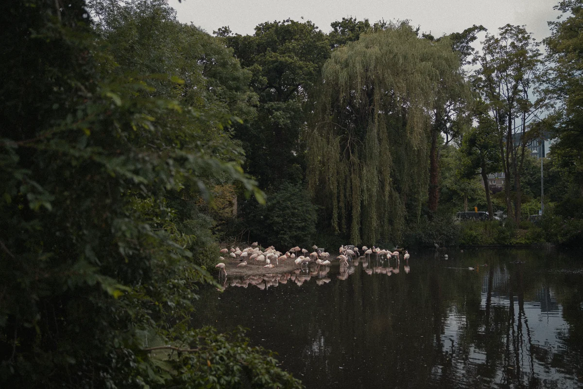 DSC01046.jpg