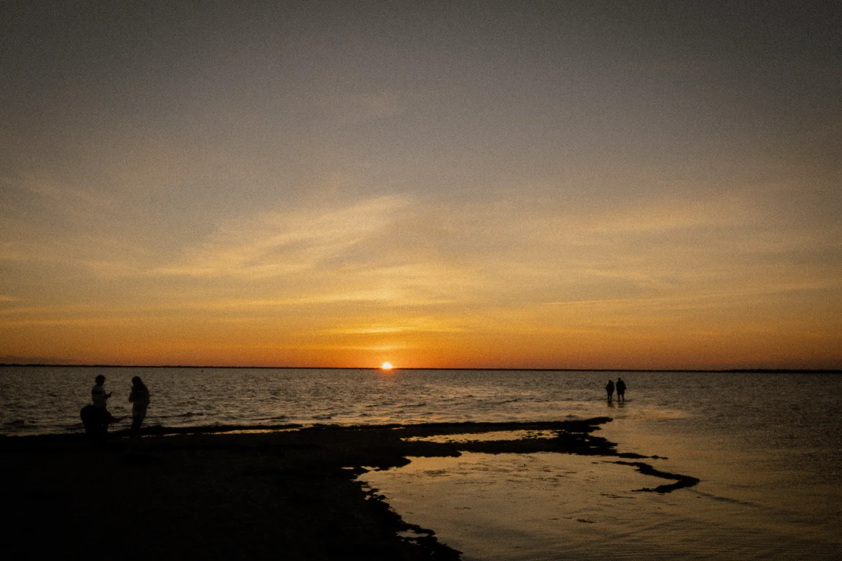 DSC02015.jpg
