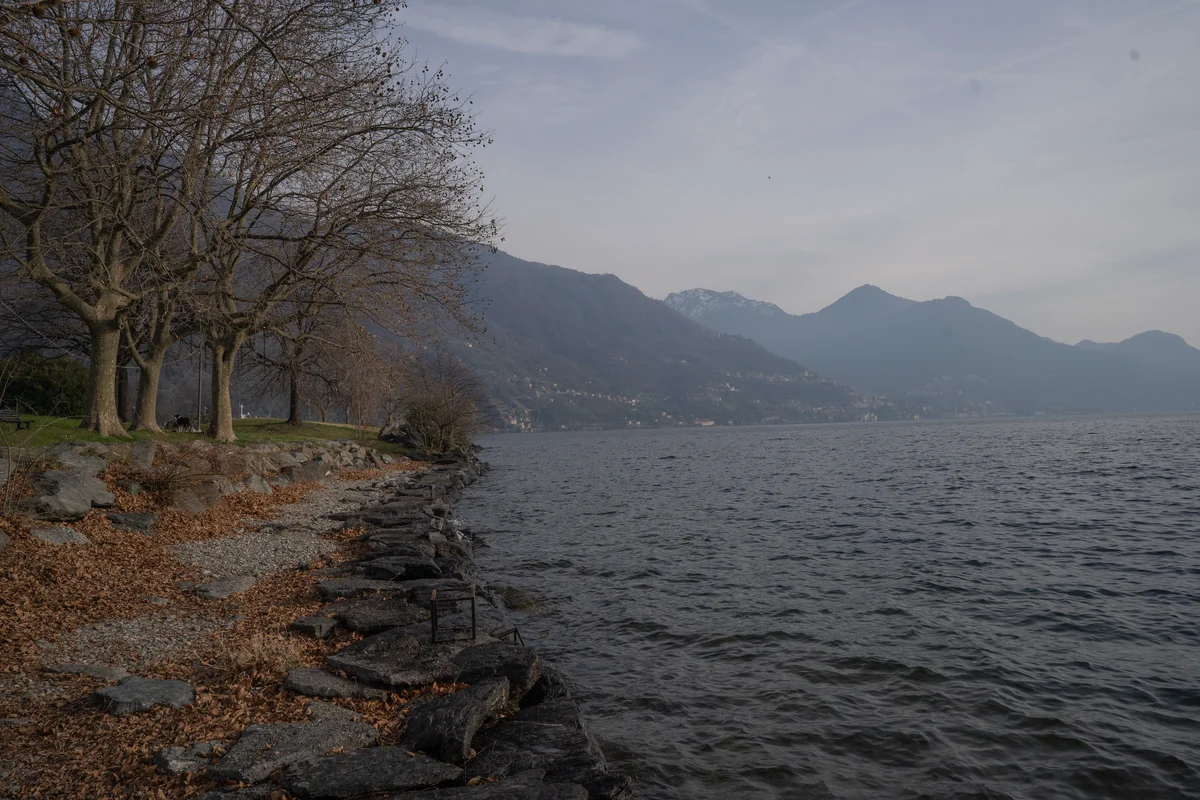 DSC02985.jpg