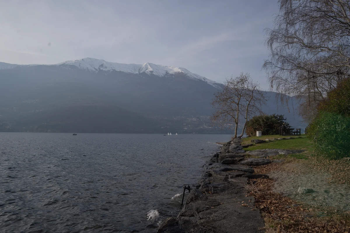 DSC02986.jpg