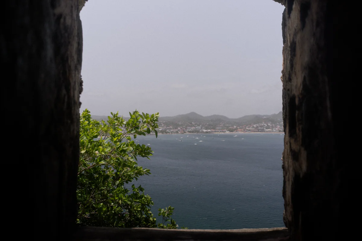 DSC03484.jpg