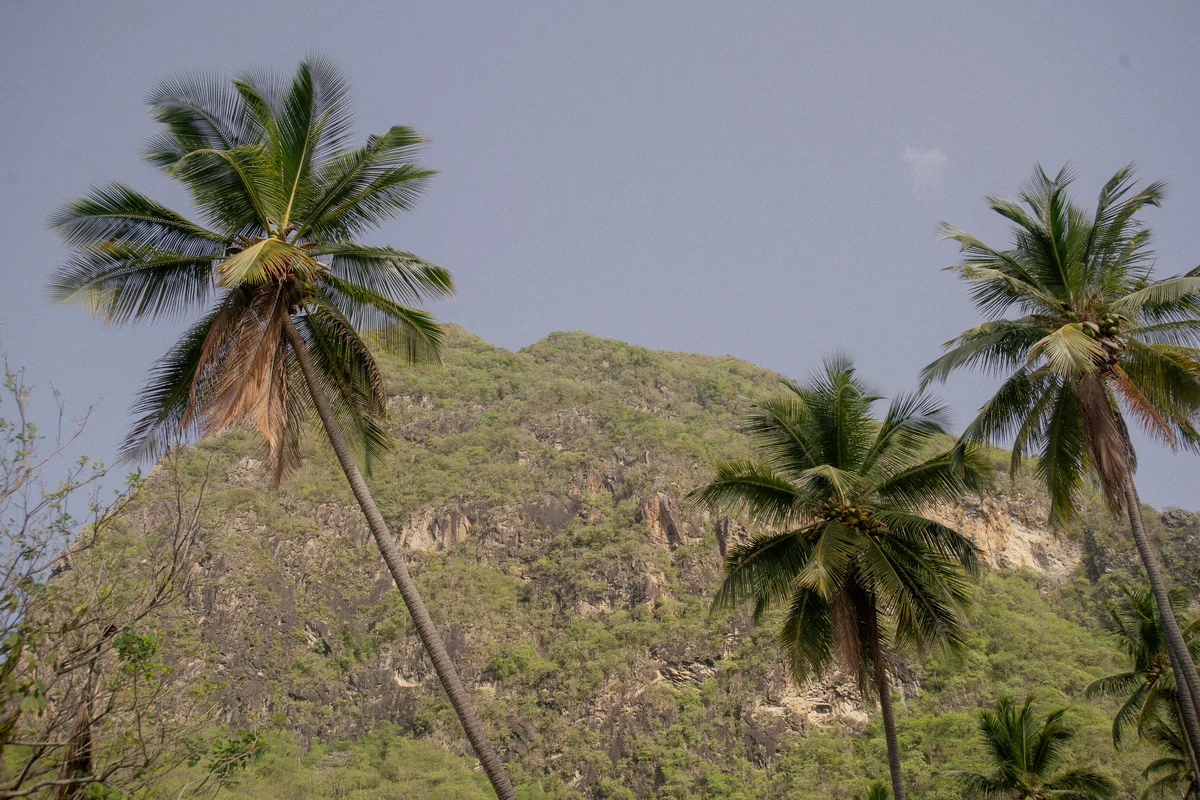 DSC03514.jpg