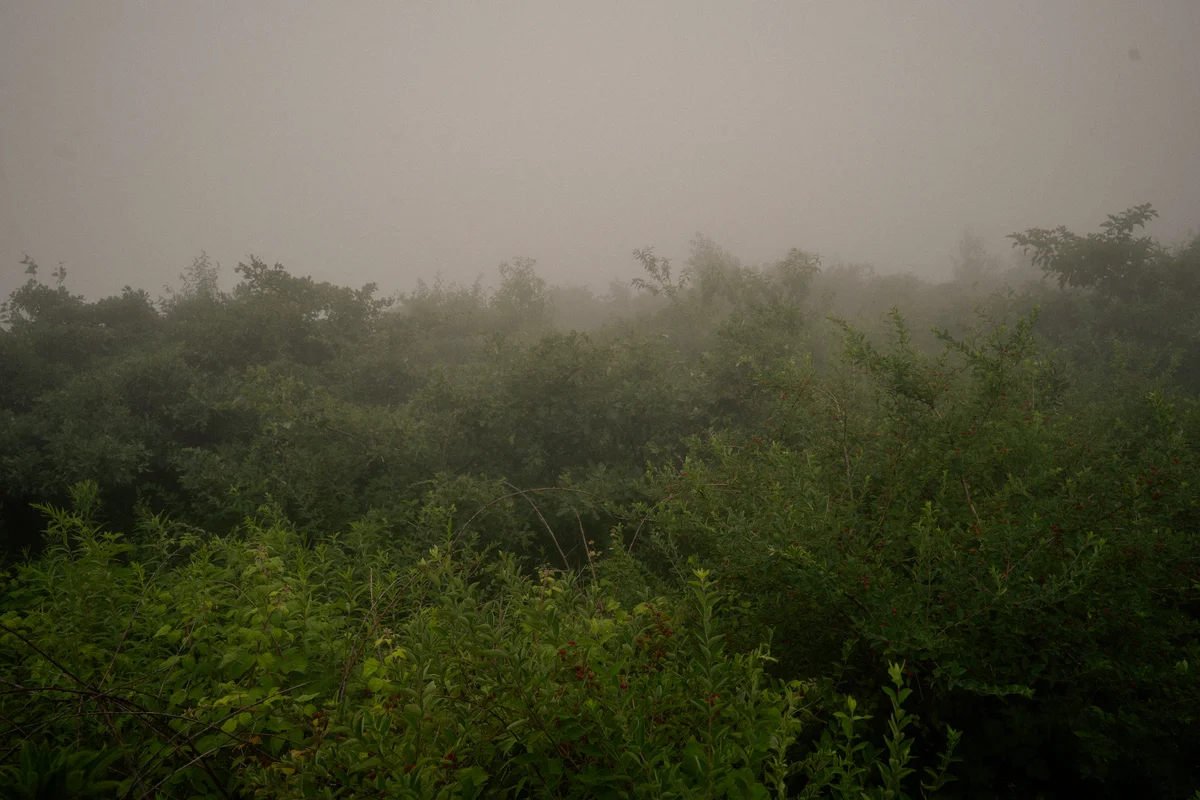 DSC03664.jpg