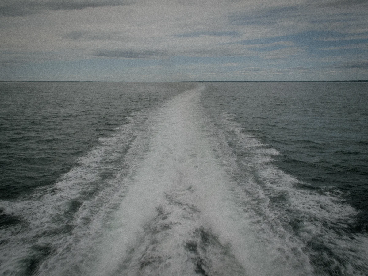 IMG_0049.jpg