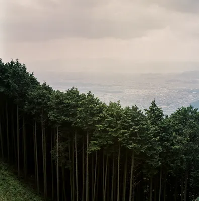 148665146201_0.jpg