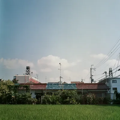 149186110673_0.jpg