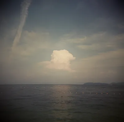 149331547174_0.jpg