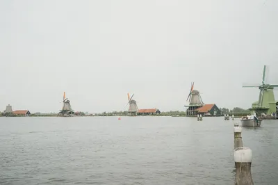 DSC00815.jpg