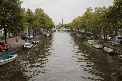DSC00924.jpg