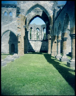 holga-103.jpg