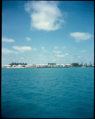 holga-111.jpg